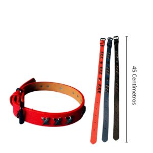 Collar rojo, azul y negro para perro Collar