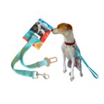 Cinturon de mascotas para autos ajustable