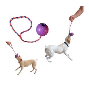 Pelota con cuerda Juguete Pelota con cuerda